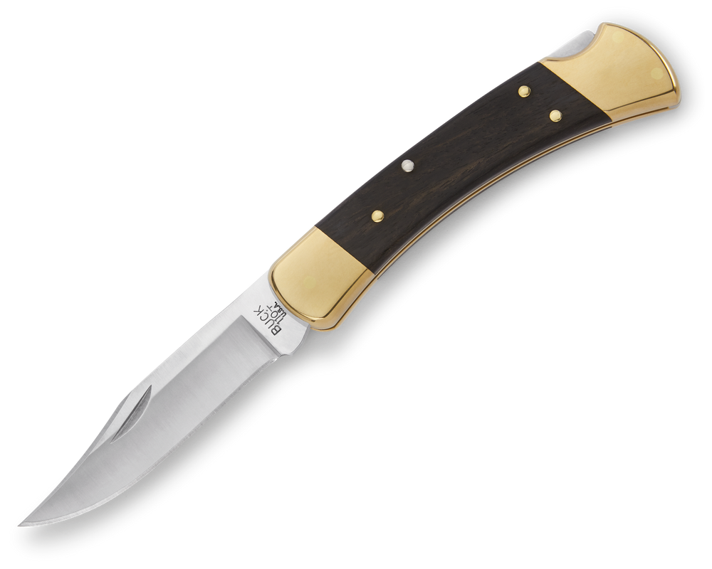Buck 110 Folding Hunter® Knife
