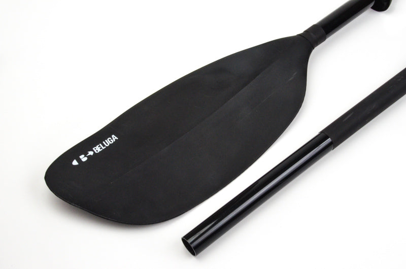 Beluga Paddle Explore
