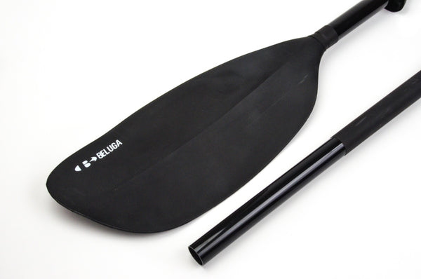 Beluga Paddle Explore