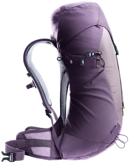 Deuter AC Lite 22 SL