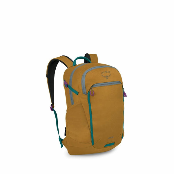 Osprey Axis 24
