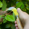 Opinel No.10 Billhook Folding Knife