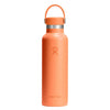 Hydro Flask Standard Mouth Flex Cap Bottle 621ml