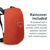 Osprey Hikelite™ LT 22 Hiking Backpack