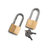 Yeti Bear Proof Locks