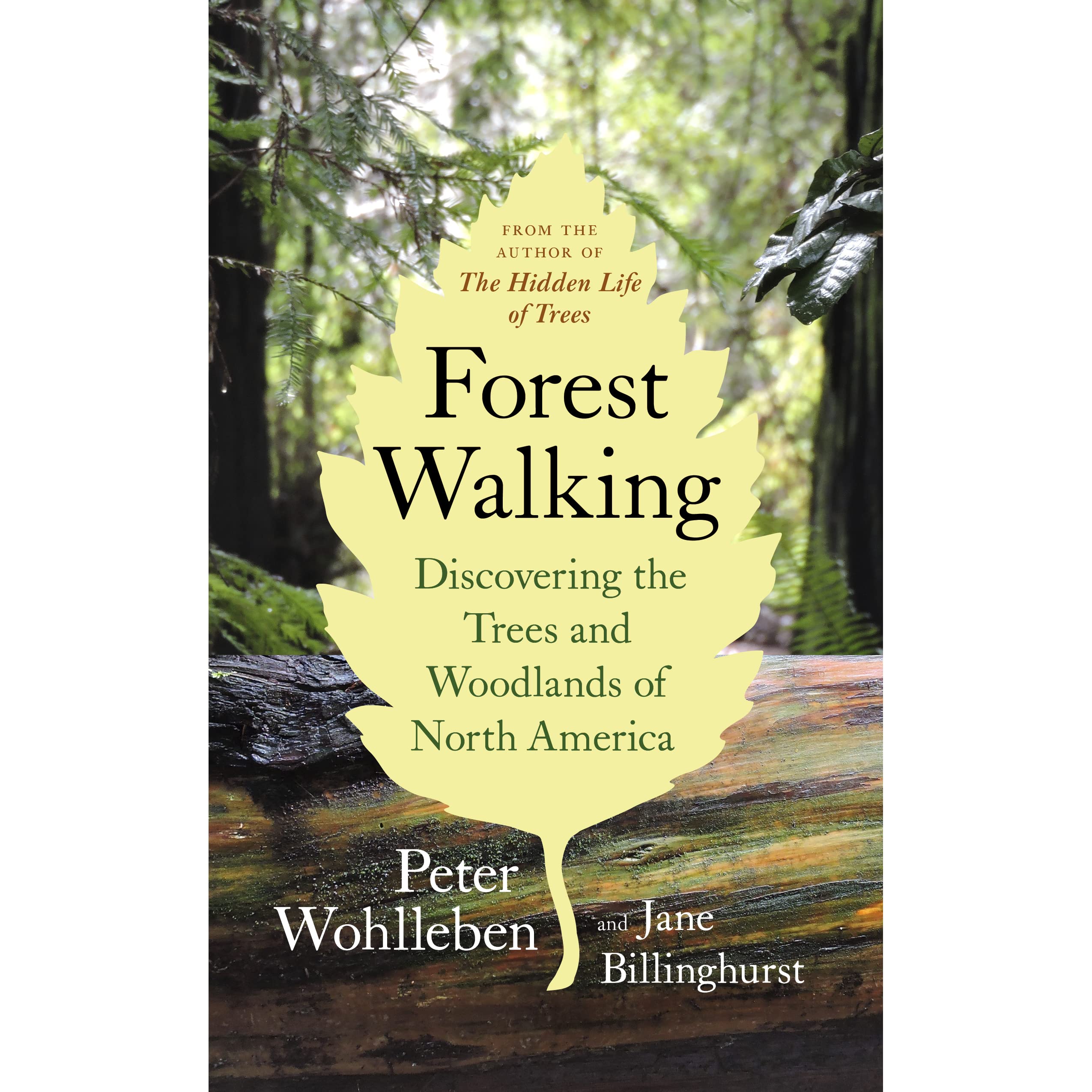 Forest Walking