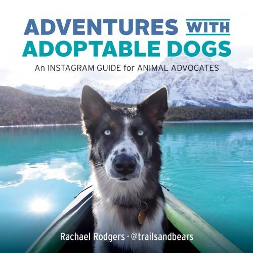 Adventures with Adoptable Dogs by R. Rodgers