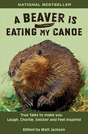 A Beaver is Eating My Canoe by M. Jackson